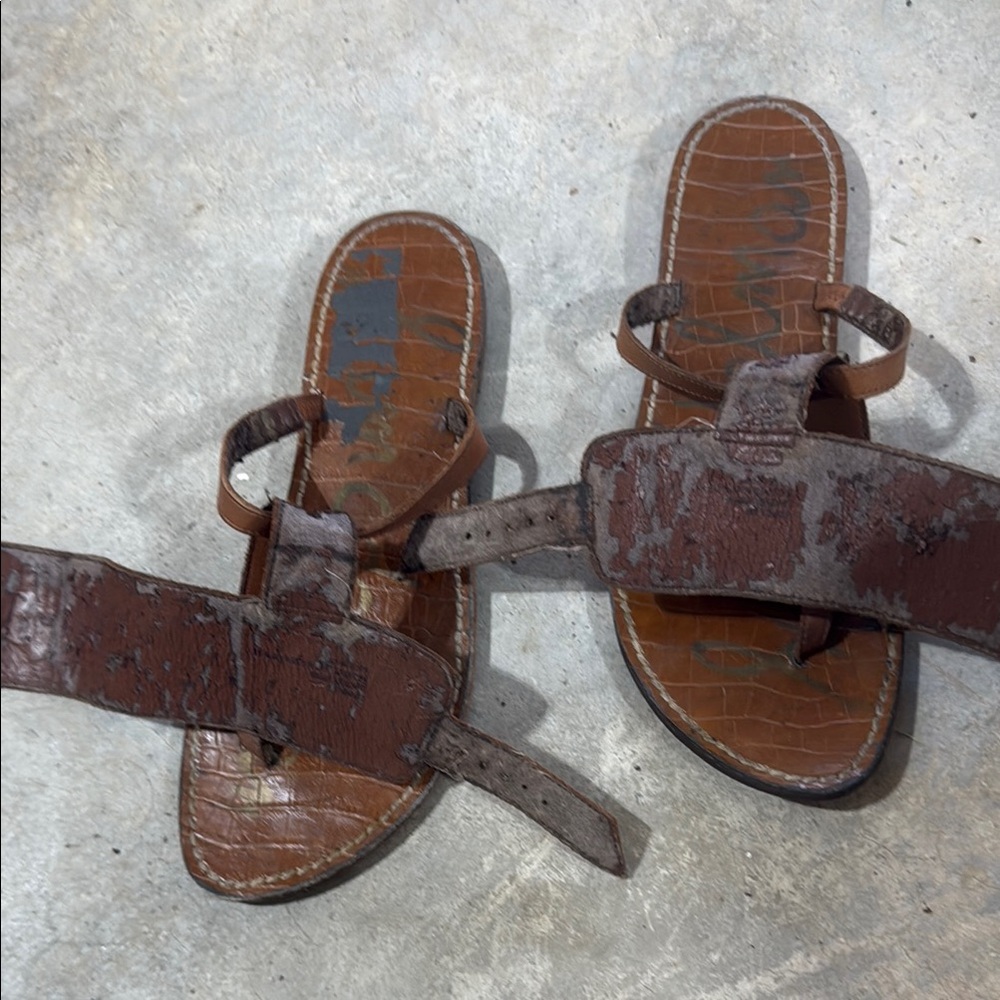 Sam Edelman Brown Gladiator Sandals - Picture 10 of 10